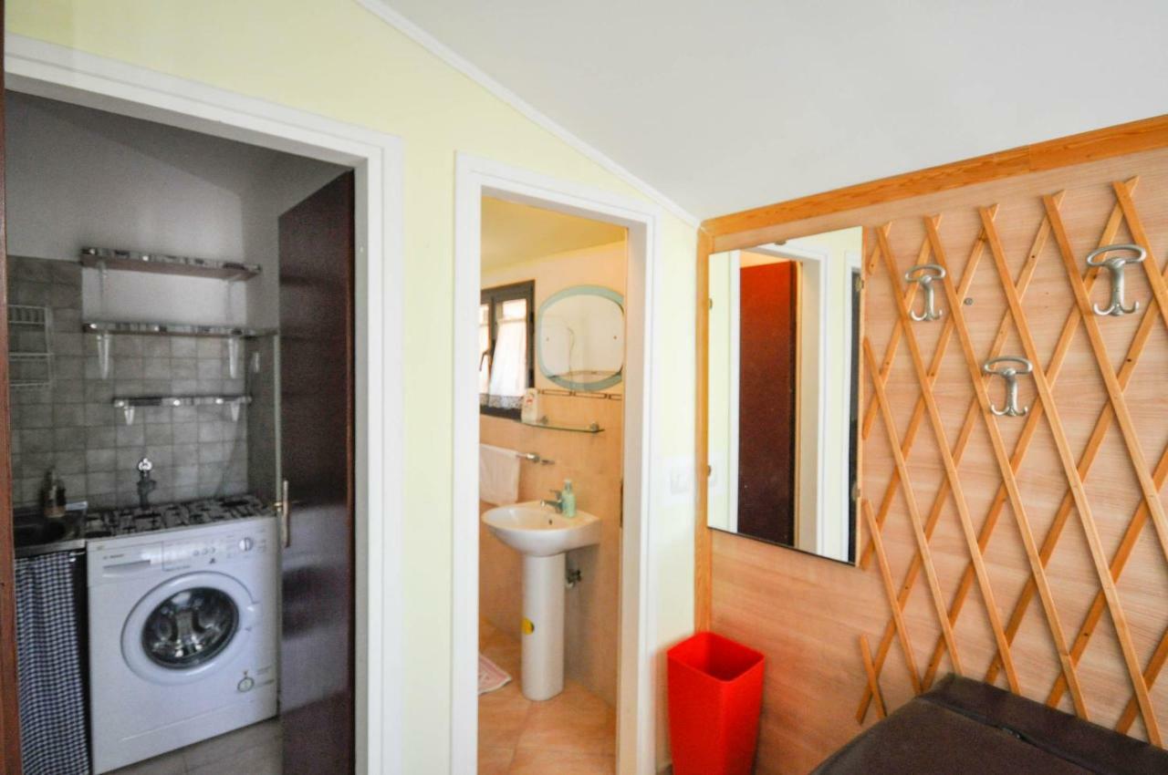 Nevija Apartment Novigrad  Exterior photo